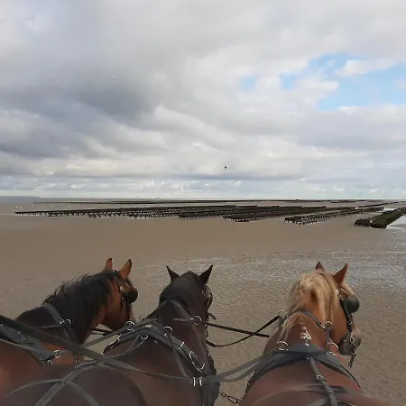 بيت للعطل Le Jardin Lison