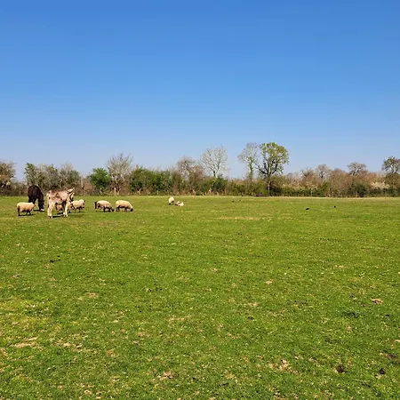 بيت للعطل Le Jardin *