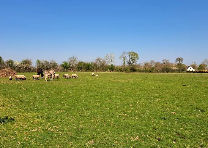Σπίτι διακοπών Le Jardin *